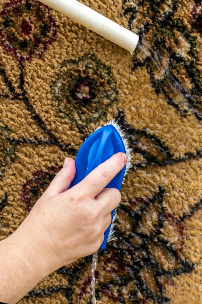 istock Cleaning the carpet close up 1020943018