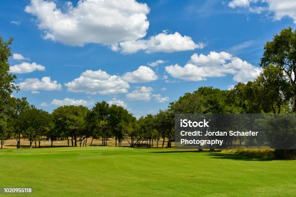 Beautiful Green Golf Fairway Lined By Trees Stock Photo - Download Image Now - Golf Course, Texas, Golf