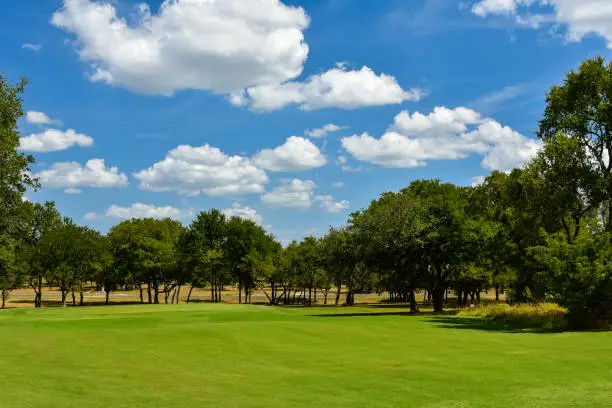 Golf fairway and green lined with trees with a beautiful blue sky above.
