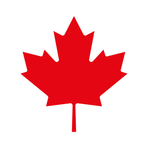 단풍나무 잎 아이콘입니다. 캐나다 기호입니다. 벡터 일러스트입니다. - canada stock illustrations