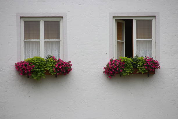 Two windows stock photo