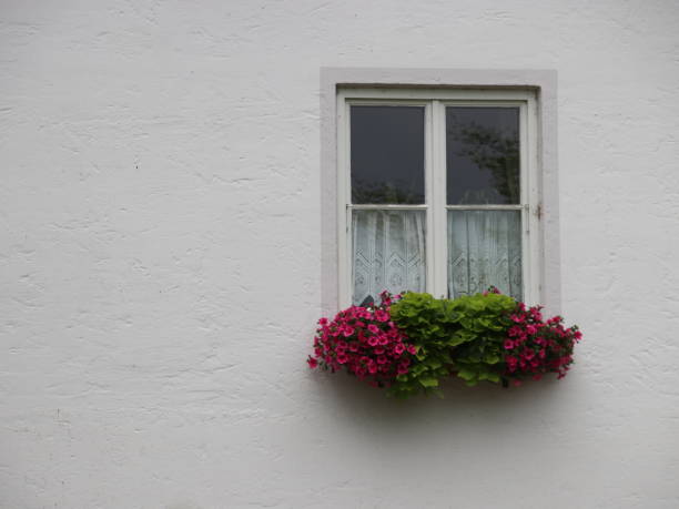 window stock photo