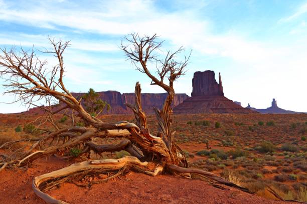istock rock butte in Monument Valley in Utah USA 1020972030
