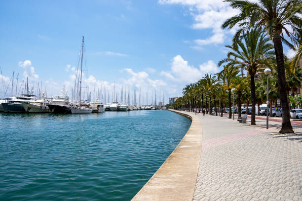 paseo 스페인-팔마데마요르카, 발레아레스 섬, 스페인 - majorca yacht palma marina 뉴스 사진 이미지