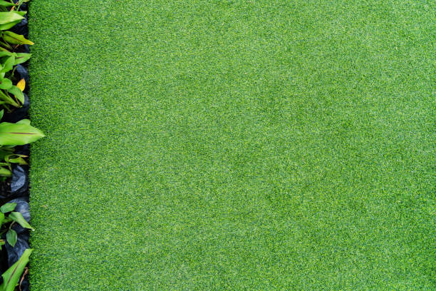 istock Top view photo, Artificial green grass texture background 1020985442