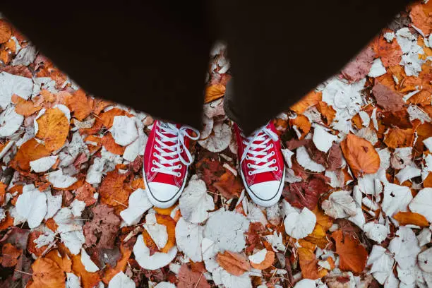 Red shoes on fallen foliage.