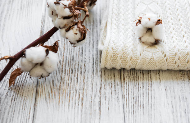 istock Cotton flowers and scarf 1021000462