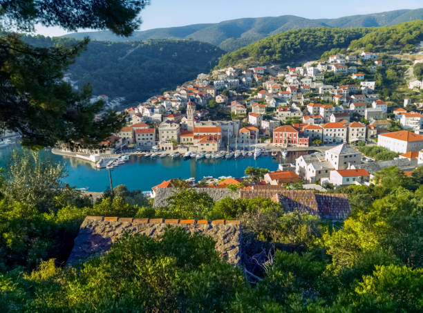 istock Pucisca in the morning - view from the hill 1021000970