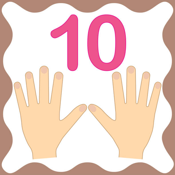 ilustraciones, imágenes clip art, dibujos animados e iconos de stock de número 10 (diez), tarjetas educativas, aprendizaje contando con los dedos de la mano, las matemáticas. ilustración de vector. - baby icons flash