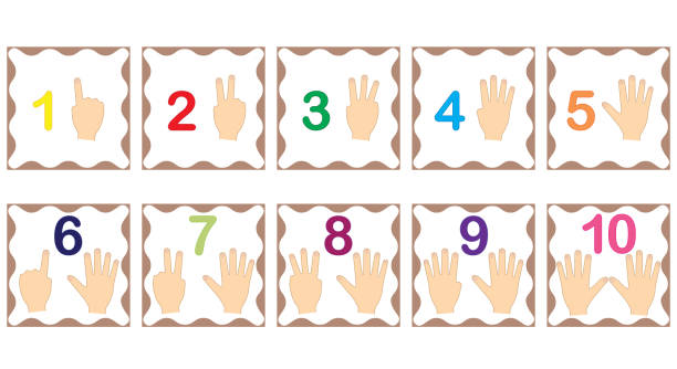 illustrations, cliparts, dessins animés et icônes de apprendre les chiffres, les mathématiques avec les doigts de la main. flash cartes avec les nombres de 1 à 10, la valeur. jeu pour les enfants. illustration vectorielle. - number 10 flash