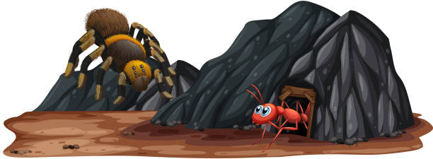 Insect at the stone cave Insect at the stone cave illustration ant clipart pictures stock illustrations