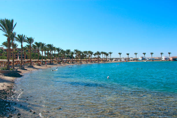 istock Tropical resort in Egypt. Palm trees sea sand beach. People rest on beach 1021009728