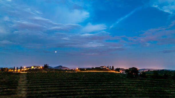 istock Evening in the vineyard of Rosazzo during a moon eclipse 1021022694