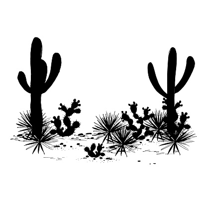 Cacti landscape. Vector silhouettes of, saguaro, prickly pear, and agave. Black and white banner, place for text. Mexican background