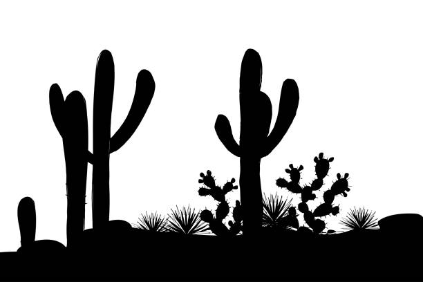 ilustrações de stock, clip art, desenhos animados e ícones de outline mexican landscape - high desert