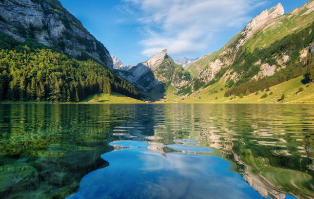 montagne e lago in svizzera. riflessione sulla superficie dell'acqua. paesaggio naturale in svizzera in estate. lago e onde - spring forest scenics reflection foto e immagini stock