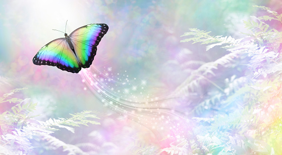a rainbow coloured butterfly heading towards white light leaving a trail of sparkles against a rainbow coloured foliage background