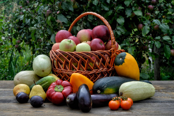 istock Food Vegetables Fruits 1021034552
