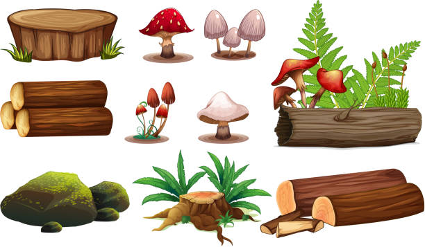 A set of wood element A set of wood element illustration moss stock illustrations