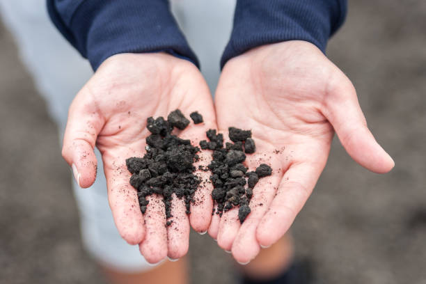 istock Handen met koude lava rotsen. 1021040304