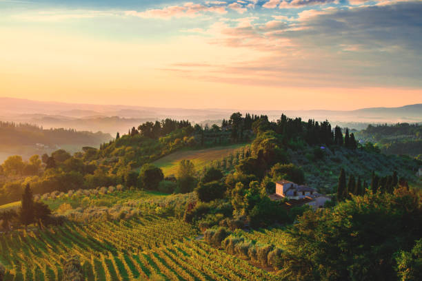 aube de tuscany - tuscany landscape italy siena photos et images de collection