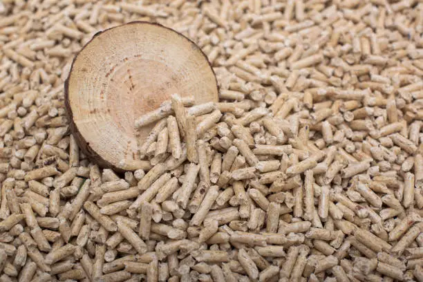 Photo of Coniferous biomass - pellets and woods