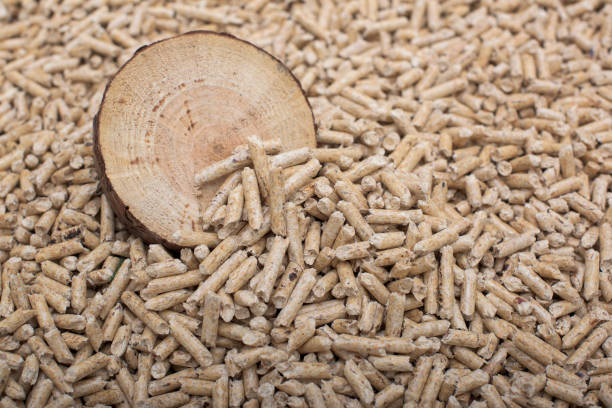 coniferous biomass - pellets and woods - domestic issues imagens e fotografias de stock