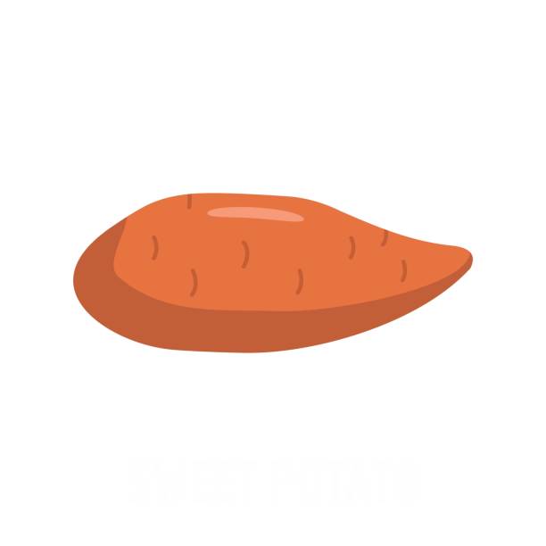 ilustrações, clipart, desenhos animados e ícones de ícone de batata-doce, estilo simples. - sweet potato