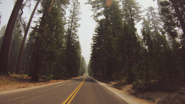 POV driving in Yosemite National park during wildfire POV driving in Yosemite National park during wildfire stanislaus national forest stock pictures, royalty-free photos & images
