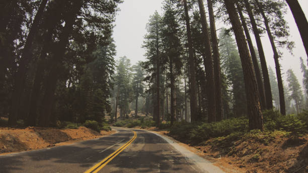 pov driving in yosemite national park during wildfire - fog yosemite national park national park nature imagens e fotografias de stock