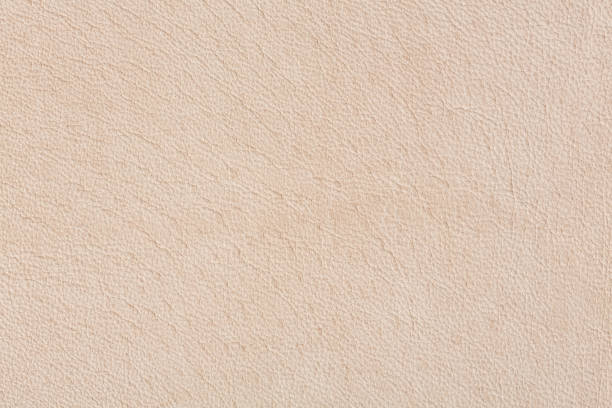 istock Luxury natural beige leather texture on macro 1021083648
