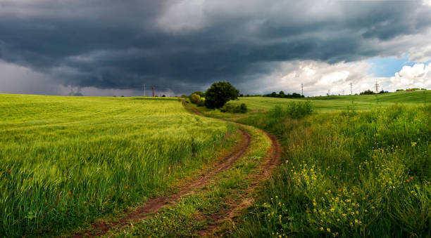 istock Summer thunderstorm in a wheat field 1021086702