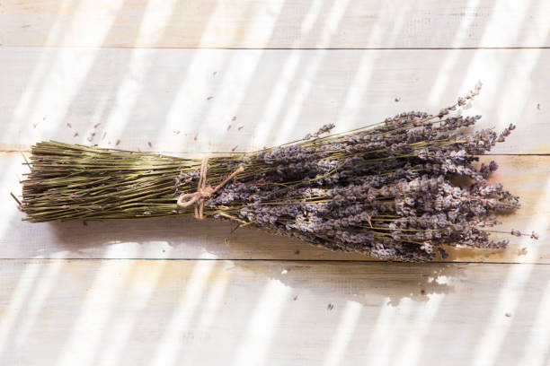 istock Bunches of lavender on wooden table 1021102018