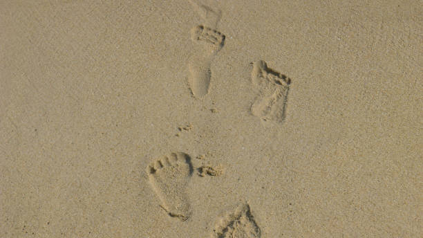 istock A Trail of Footprints in the Sands 1021136006