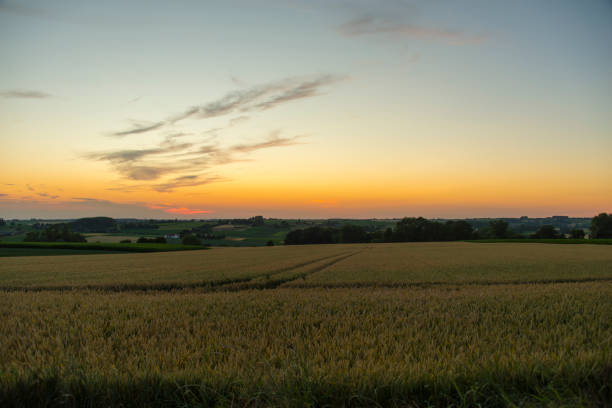 istock sundown dusk sunset vibrant sky rolling hills countryside rural scenic view 1021136014
