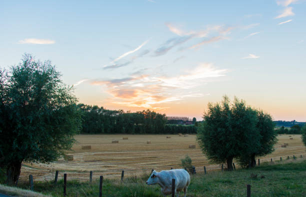 istock sundown dusk sunset vibrant sky rolling hills countryside rural scenic view 1021136186