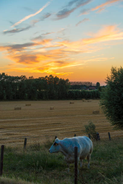 sundown dusk sunset vibrant sky rolling hills countryside rural scenic view