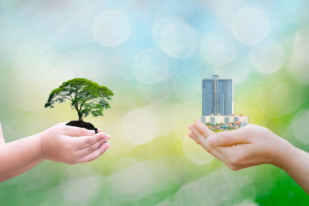 istock Ecology concept child human hands holding big plant tree building with on blurred background world environment 1021144432