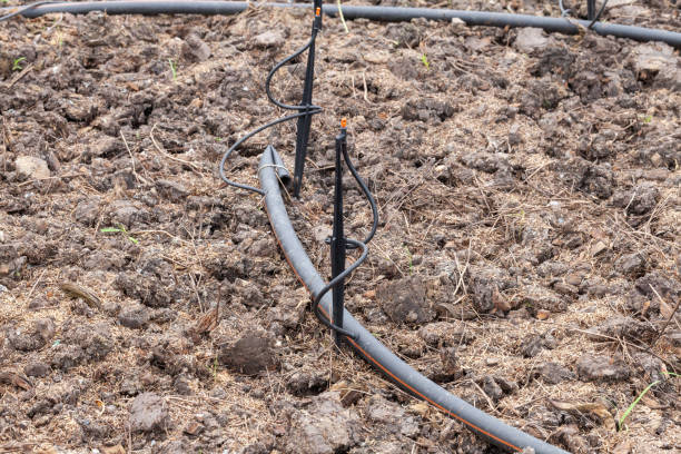 istock empty dirt for plantation with water pipe 1021154620