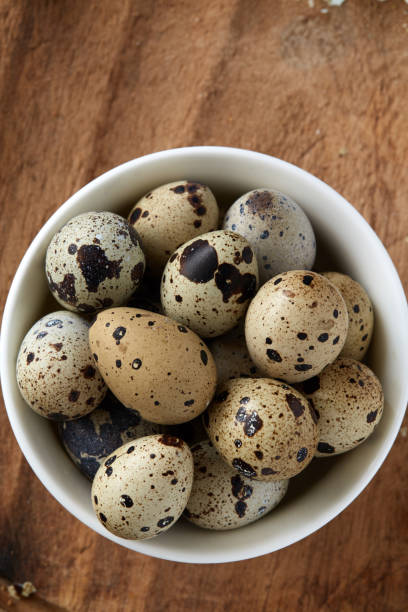 istock Quail eggs in deep white plate on wooden surface 1021158718