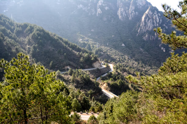 Trees and Winding Path in the Mountain Area