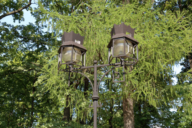 istock Iron street lamp 1021163096