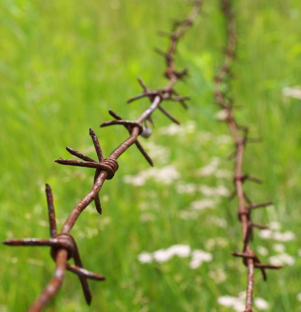 istock Old rusty barbed wire fence, closeup, shallow depth of field 1021170838