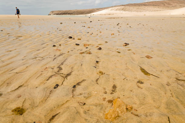 spiaggia di sotavento con bassa marea in una giornata tempestosa - light sea low tide fuerteventura foto e immagini stock