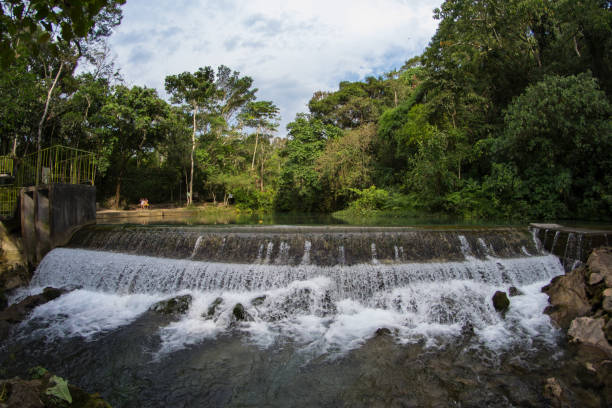 istock Small relaxing waterfall submerged in the jungle 1021184132
