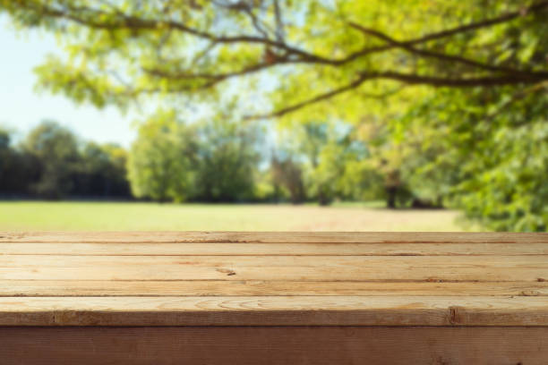 istock Empty wooden table over autumn nature park background 1021184442
