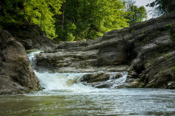 istock Mountain river with a waterfall flowing between rocky coasts. Over the river trees grow. Taken at sunny spring day at Carpathian mountains. Fast flowing water. Natural background. Freshness feel. 1021191766