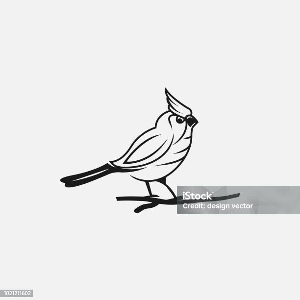 Cardinal Bird Vector Stock Illustration - Download Image Now - Abstract, Animal, Animal Wildlife