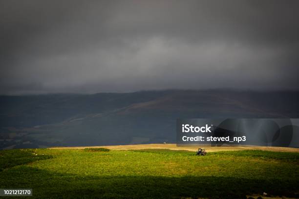 Tractor In The Sun Spotlight Stock Photo - Download Image Now - Agriculture, Beacon, Beauty