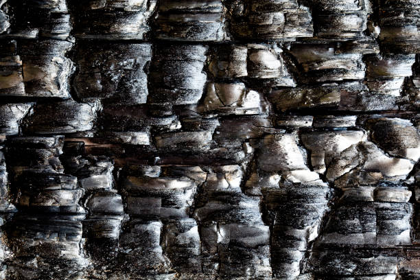 istock Burnt wood background 1021215130